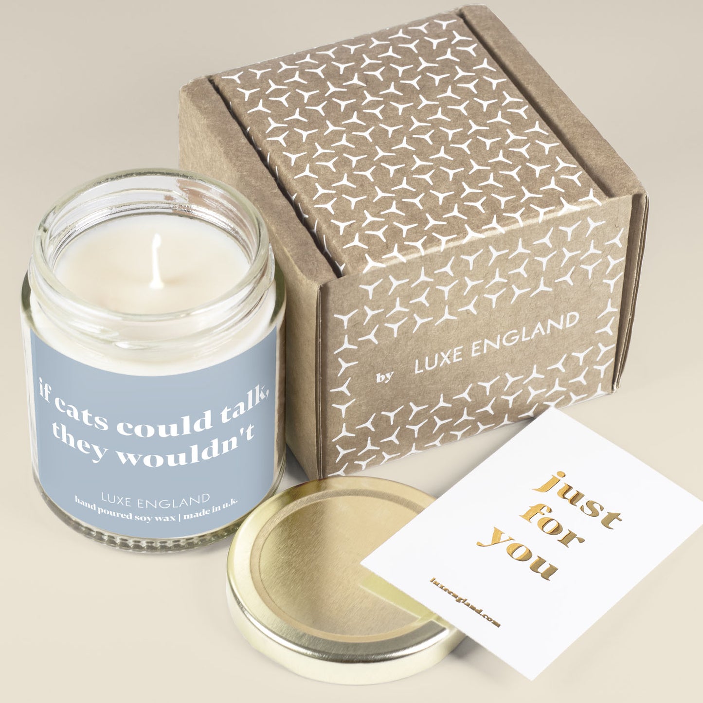 Message Candle (if cats could talk, they wouldn't)